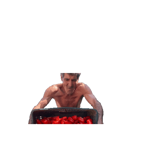 gustarossoit Sticker