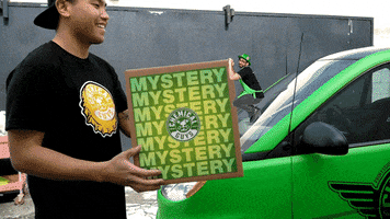 Detailing St Patricks Day GIF by Chemical Guys