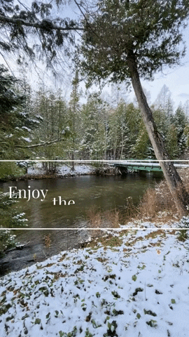 Michigan Cabin GIF by The Firefly Lodge