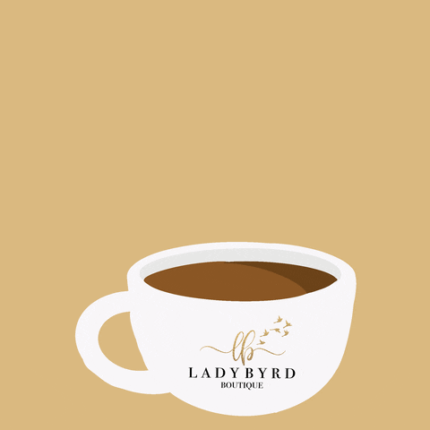 Shop Ladybyrd GIF