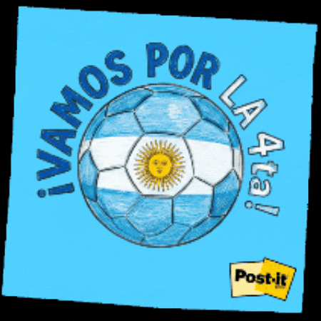 Argentina Albiceleste GIF by 3M