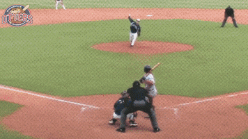 EvansvilleOtters baseball swag save catch GIF