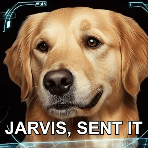 Bonk GIF