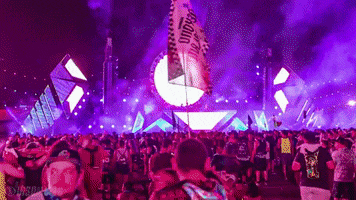 las vegas stage GIF by Insomniac Events