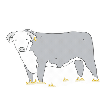 Sticker by Archer & Co