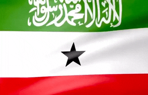 somaliland meaning, definitions, synonyms