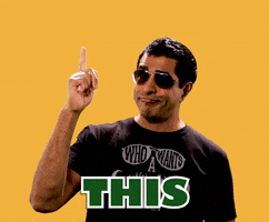 super troopers yes GIF by Fox Searchlight