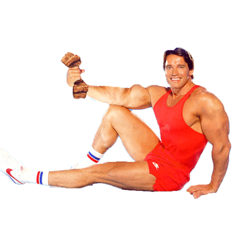 Arnold Schwarznegger Sticker