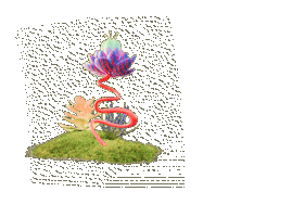 Sdf Openair Sticker by SummerDays Festival