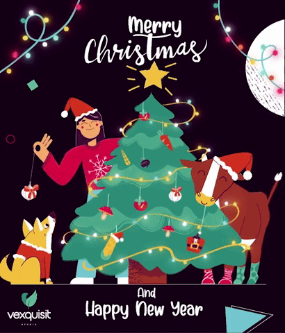 Especial De Natal GIF by Porta Dos Fundos - Find & Share on GIPHY