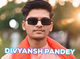 Playground Pandey GIF