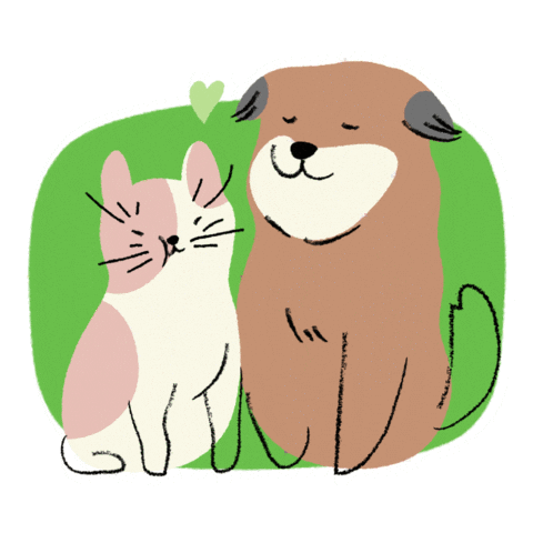 Flūi Vet Spa Sticker