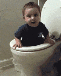 Portable-toilet GIFs - Get the best GIF on GIPHY
