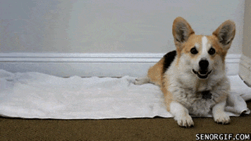 200.gif#11