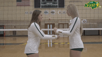 Volleyball Handshake GIF by NDSU Athletics