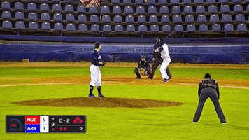 Baseball GIF