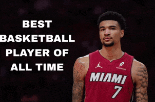 Miami Heat GIF