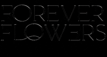 Forever Flowers GIF by Schaham Home