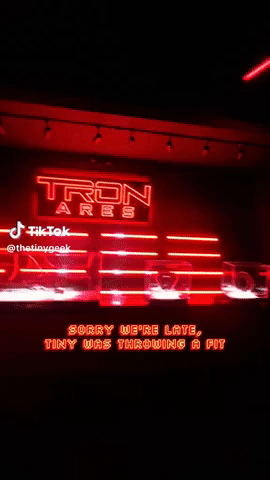 tinygeek