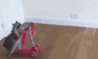 annachigileichik  GIF