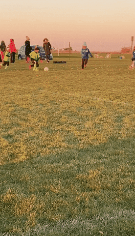 giphy.gif