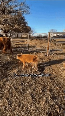 America's Outdoor Adventure Park GIF