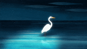 white egret squawk GIF by Puffin Rock