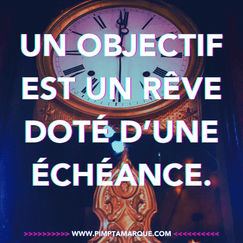 objectif meaning, definitions, synonyms