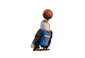 Basketball Eagle Sticker by Marathon Fuel