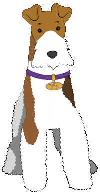 Dog Show Dogs Sticker by Westminster Kennel Club