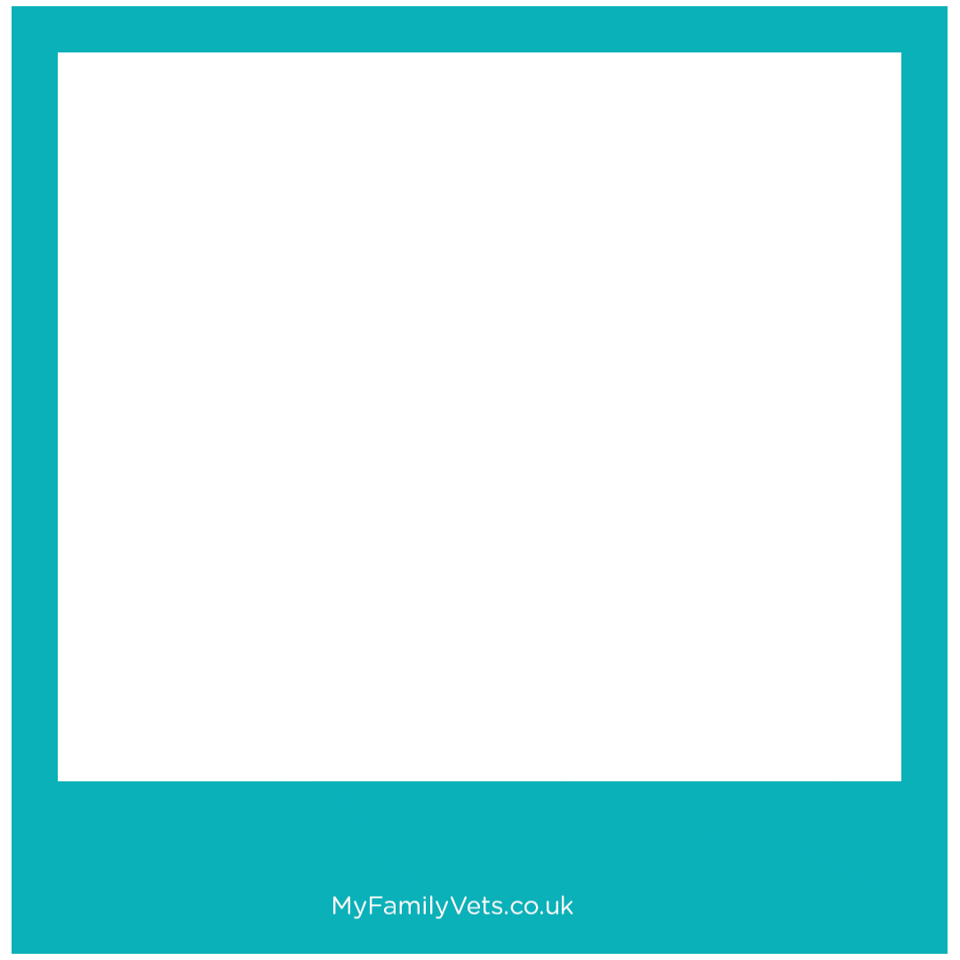 MyFamilyVets Sticker