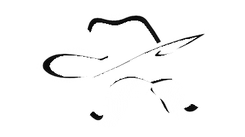 Beer Sjc Sticker by Coronel