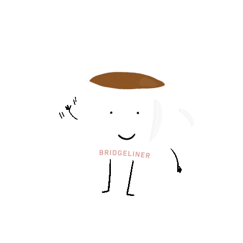 Bridgeliner Sticker