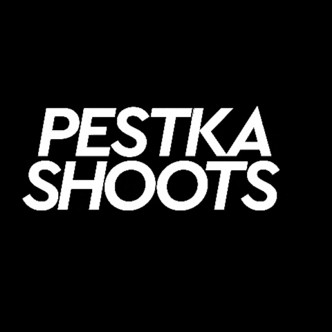 Pestka Shoots GIF