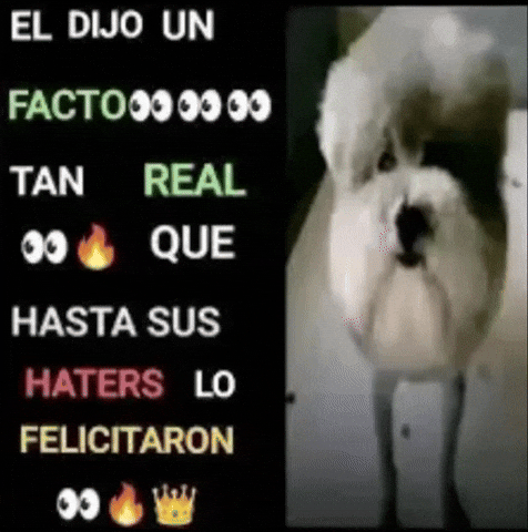 Xd Facts GIF