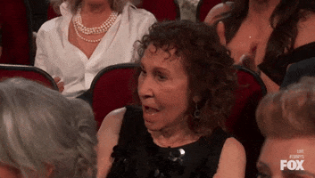 Rhea Perlman GIF by Emmys