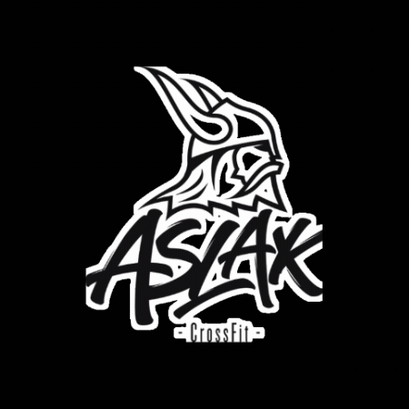 Crossfit Aslak GIF