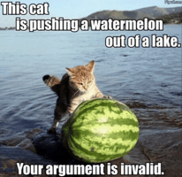 Your Argument Is Invalid Youre Wrong GIF