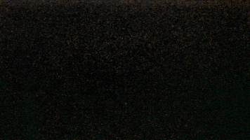 vvnieuwerkerk GIF