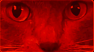 What GIF by PBS Brakes
