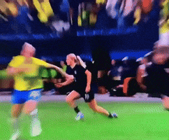 Brazil GIF
