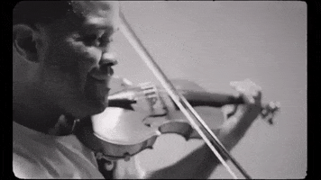 Black Violin GIF