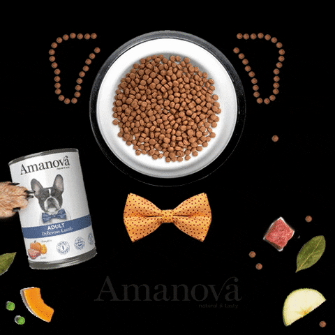 Cat Dog GIF by Amanova Pet Food