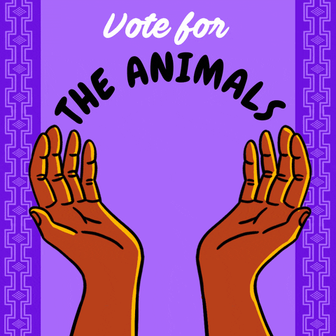 Illustrated gif. Brown hands stretched upward on a purple background, cradling a wave, a tree, a bison, the Earth, all framed by a Wampum belt pattern. Text, "Vote for the waters, the land, the animals, the Earth."