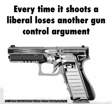 gun control