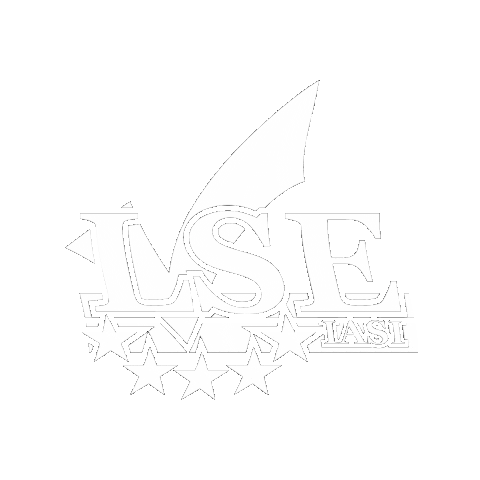 Liga Studenților Economiști Iași Sticker