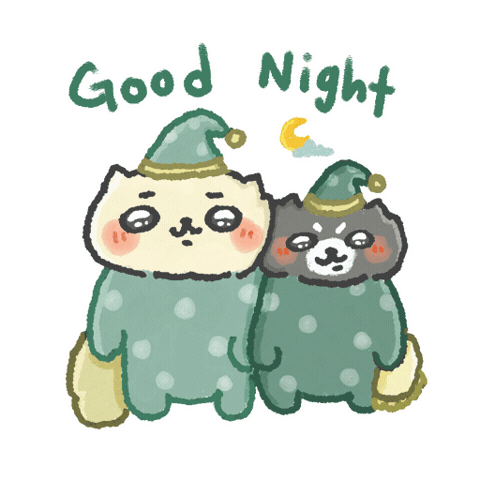 Sleep Together Good Night Sticker