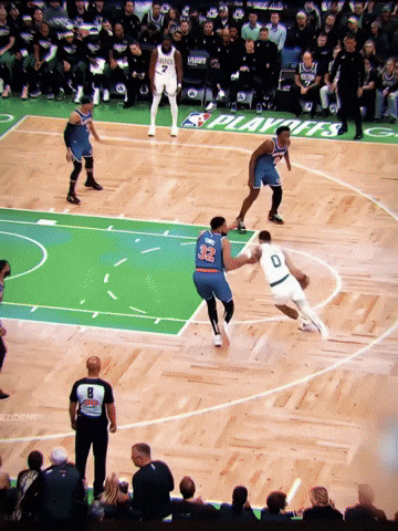 New York Knicks Nba GIF