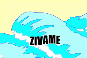 Zivame GIF