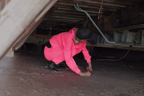 giphy.gif?cid=5e214886d0e025c69553c712cb